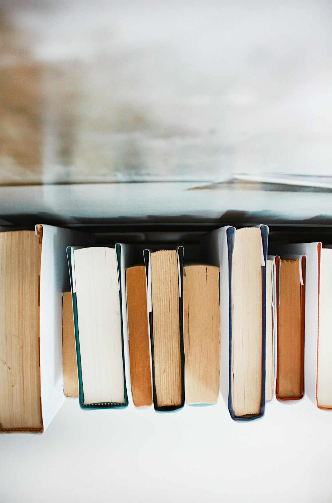 A view of books on a shelf from above